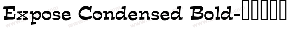 Expose Condensed Bold字体转换